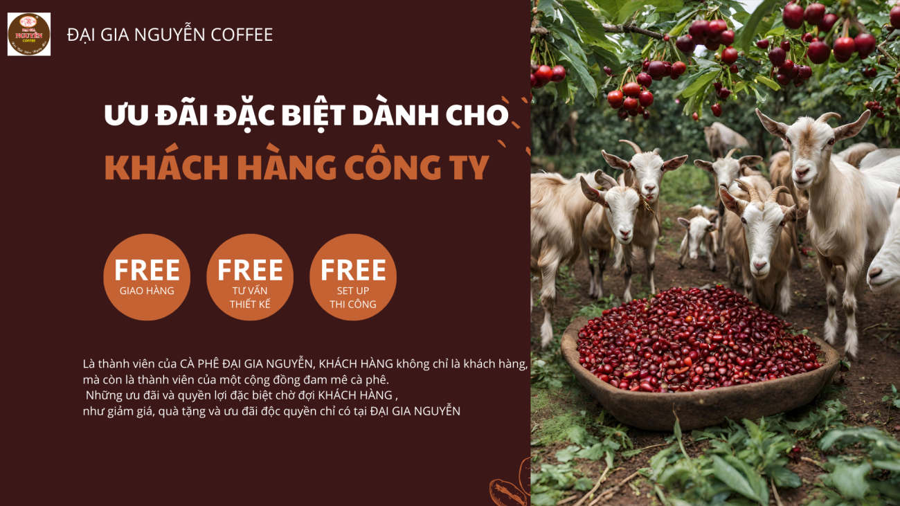 arabica-coffee