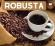 ROBUSTA-4