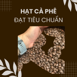 Cà Phê Hàng Chất Lượng Cao: Những Điều Bạn Cần Biết Để Thưởng Thức Từng Ngụm-7