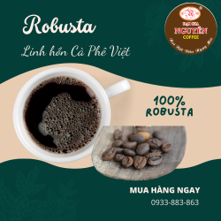 Robusta - linh hồn cà phê Việt Nam-9